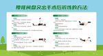 腰椎间盘突出症术后功能锻炼