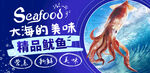 生鲜鱿鱼
