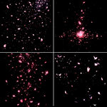 粉色粒子动态效果集合