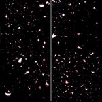 4套花瓣纷飞免扣背景素材