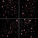 4套花瓣纷飞免扣背景素材