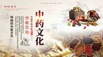 中医药文化展示与传统药材海报