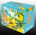 黄金百香果包装