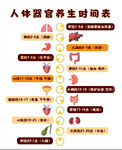 人体器官养生时间表图示