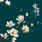 玉兰花