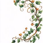 手绘藤蔓花卉装饰图案