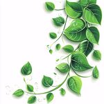 绿叶藤蔓装饰元素