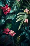 热带花卉与绿叶的梦幻组合