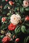复古风玫瑰花卉插画