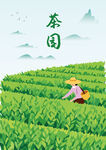 茶园中劳作的辛勤茶农茶园采茶