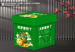 菠萝蜜包装