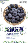 蓝莓