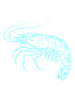 线描虾
