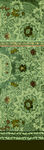 复古风绿色花纹图案