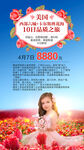 美国旅游花海中的梦幻儿童