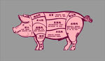 猪的身体部位分割示意图