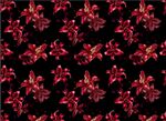 红色花卉图案背景纹理