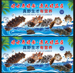 海叁
