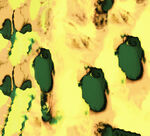 抽象黄绿图案纹理背景