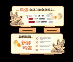 鸡蛋知识