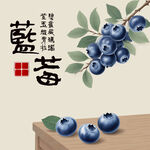 手绘蓝莓