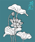 矢量荷花