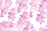 粉花