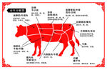 牛肉部位划分示意图