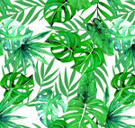 热带绿植水彩图案背景