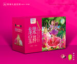 火龙果包装 水果礼盒
