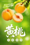 黄桃