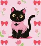 穿粉色蕾丝花边衣服的黑色猫咪