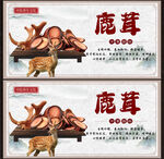 鹿茸