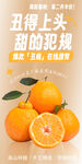 丑橘