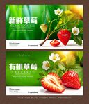 草莓海报