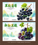黑提葡萄