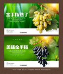 金手指海报