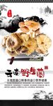 云南野生菌海报