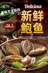 鲍鱼