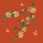 桂花