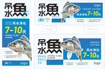 鱼 水产 海鲜 吊水鱼