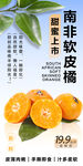 南非软皮橘 