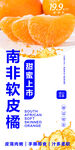 南非软皮橘