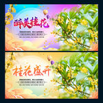 桂花