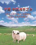 滩羊海报背景