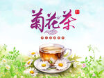 菊花茶包装