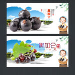 黑加仑