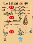 饮食营养运化过程图解