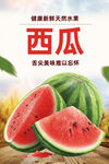 西瓜