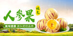 人参果